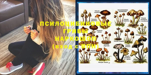 гидропоника Балахна