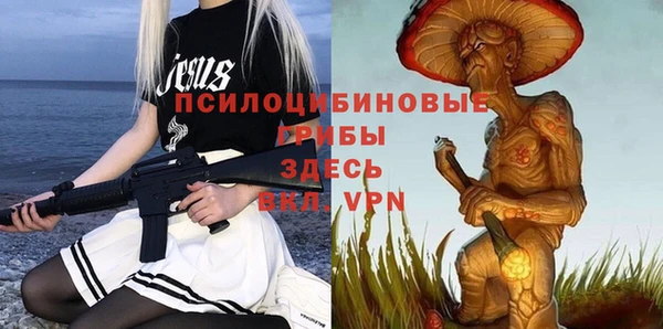 spice Покровск